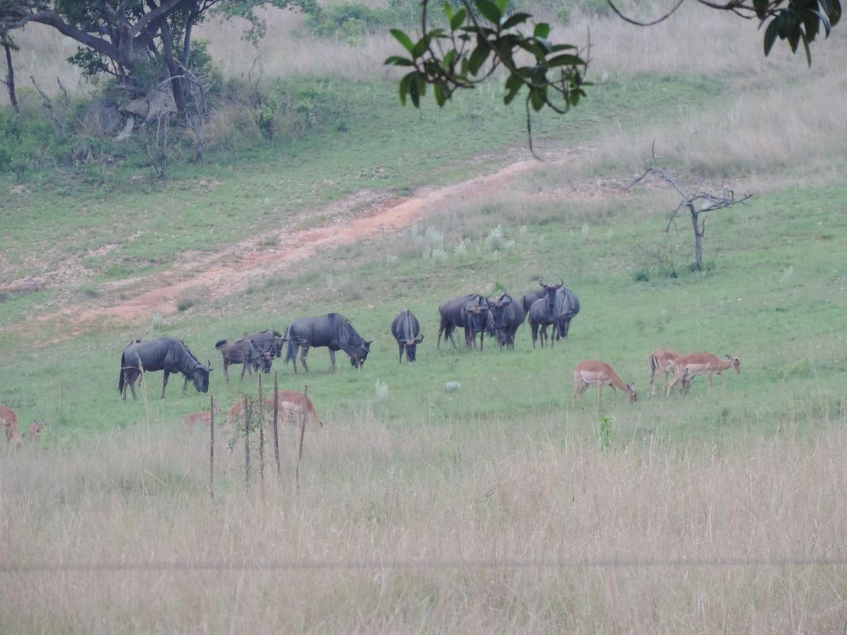 @Nature Luxury Cottages Mbombela Luaran gambar