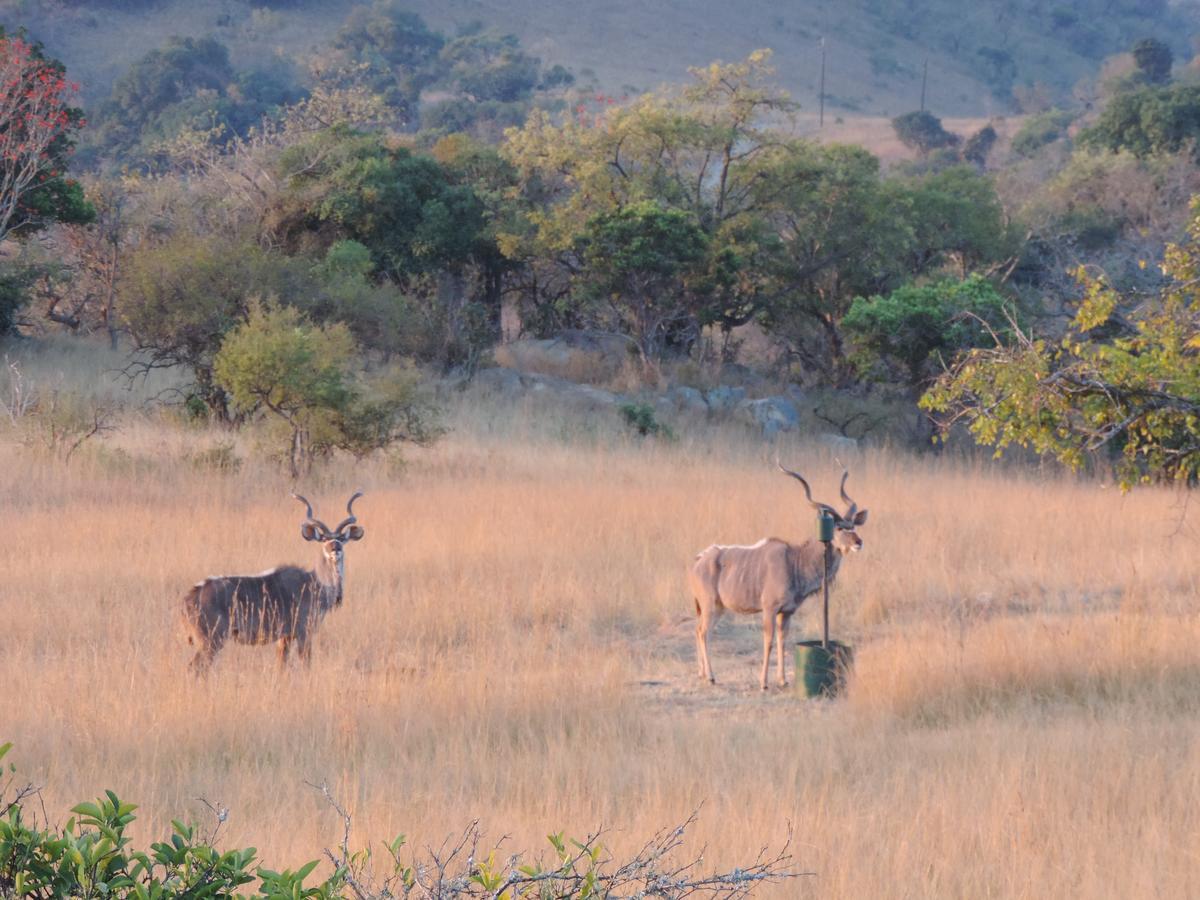 @Nature Luxury Cottages Mbombela Luaran gambar